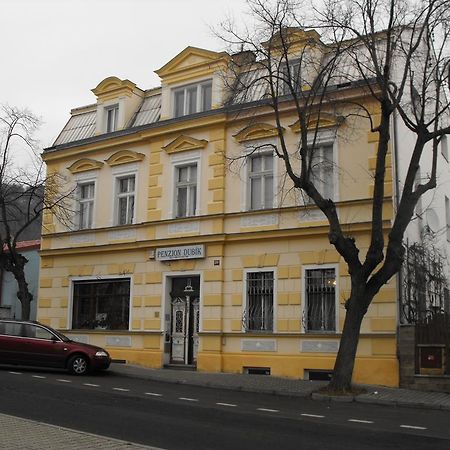Penzion Dubik Kültér fotó